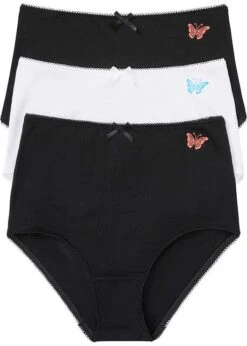 Lot De 3 Slips Taille Haute Avec Coton